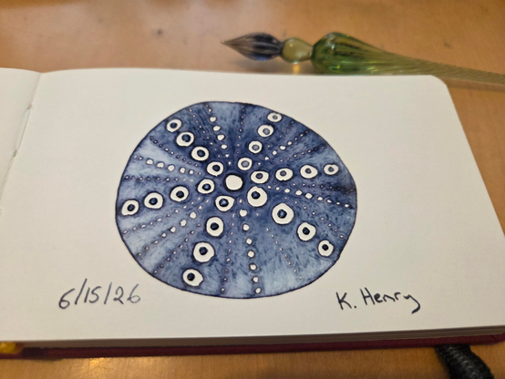 Hand drawn generative/procedural art in ink on an open page of my sketchbook. The abstract pattern looks a bit like a sea urchin. My glass dipping pen is next to my sketchbook.