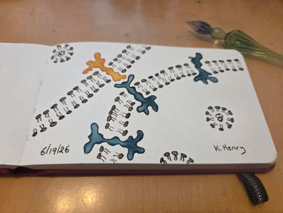 Hand drawn generative/procedural art in ink on an open page of my sketchbook. The abstract pattern looks like a diagram from a cell biology textbook.