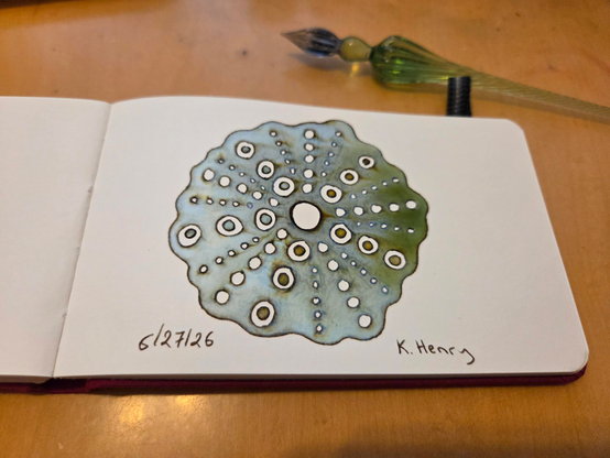 Hand drawn generative/procedural art in ink on an open page of my sketchbook. The abstract pattern looks a bit like a sea urchin. My glass dipping pen is next to my sketchbook.