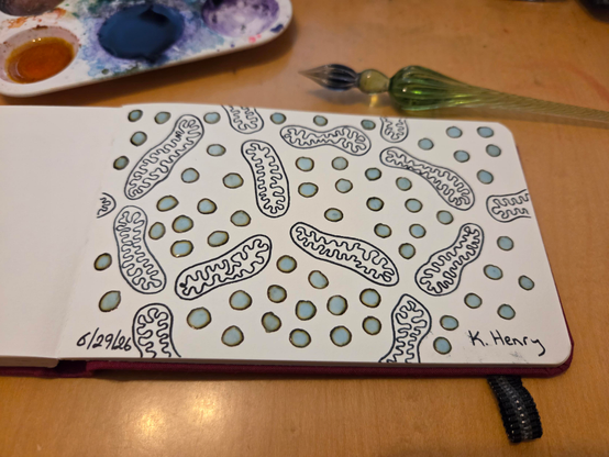 Hand drawn generative/procedural art in ink on an open page of my sketchbook. The abstract pattern has a roughly network diagram pattern, but with mitochodria  shapes instead of lines between the nodes. My glass dipping pen is next to my sketchbook.