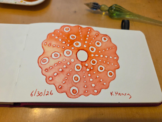 Hand drawn generative/procedural art in ink on an open page of my sketchbook. The abstract pattern looks a bit like a sea urchin. My glass dipping pen is next to my sketchbook. 