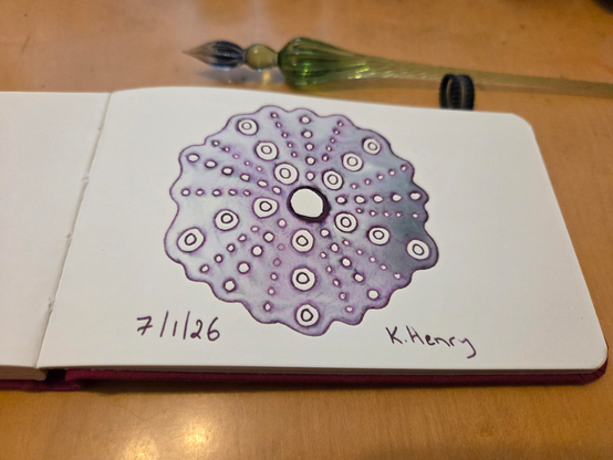 Hand drawn generative/procedural art in ink on an open page of my sketchbook. The abstract pattern is inspired by sea urchins. My glass dipping pen is next to my sketchbook.