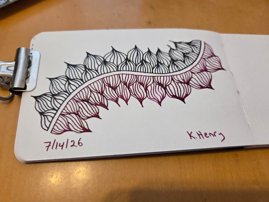 Hand drawn generative/procedural art in ink on an open page of my sketchbook. The abstract pattern is difficult to describe. It kinda looks like if you unrolled the petal on a flower. Kinda.