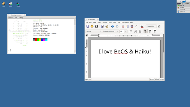 Haiku OS