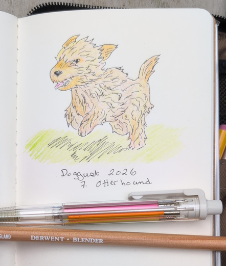 A drawing of an Otterhound dog running on the grass with long stands of fur all over its body. Despite my attempts at colouring, it's more yellow than a typical otterhound coat. The drawing is labeled "doggust 2026 / 7. Otterhound" and below the label is a pentel multi pencil with different colours in it and a blending pencil (a colourless pencil crayon for blending colours in a coloured pencil drawing).