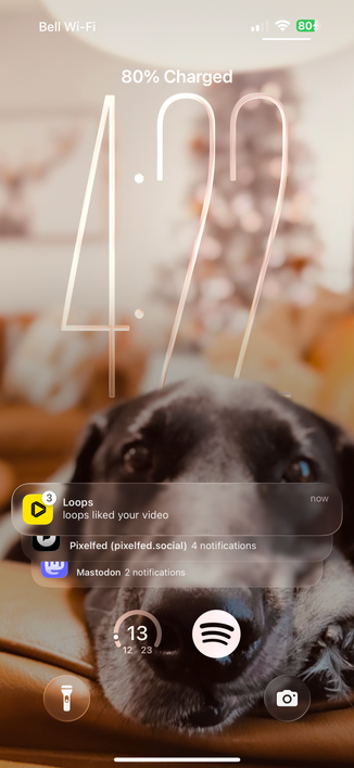 My homescreen on my iPhone showing 3 groups of notifications from Loops, Pixelfed and Mastodon
