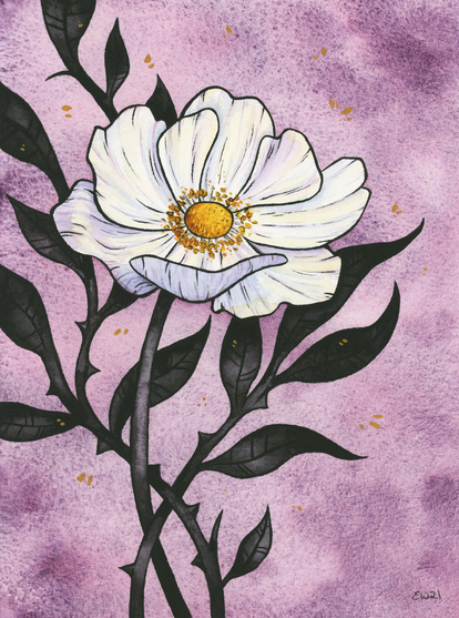 Watercolor painting of a white anemone flower with black leaves and thorns on a warm purple background