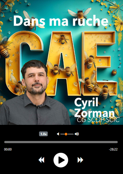 Dans ma ruche, Cyril Zorman - CG Scop et Scic 