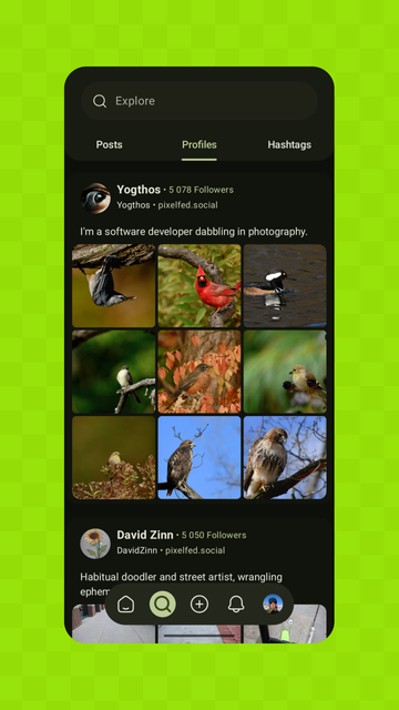 Screenshot of trending accounts page of Pixelix. Search bar on top. Tab bar with elements Posts, Profiles and Hashtags. Two accounts with nature posts