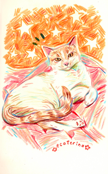 Crayon illustration of a white and orange cat looking all serious , he’s sitting on a pink blanket and there’s a yellow background with stars above him 