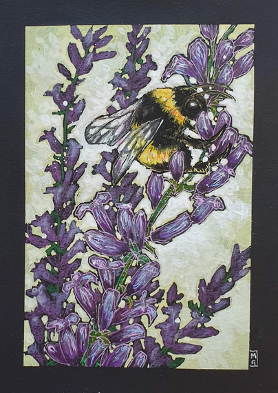 A small artwork of a bee sitting on purple lavender, the artwork is on black paper.
An original art work, please note that the frame is not included.
Colour pencil and mixed media on acid free toned artist paper
5 by 7 inches (12.7 by 17.8 cm).
