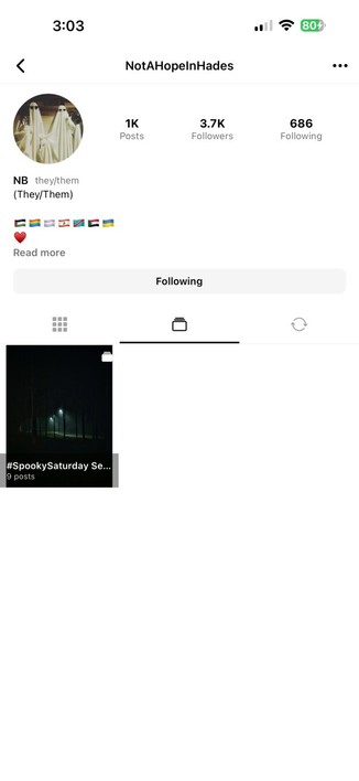 The new Pixelfed mobile app profile screen