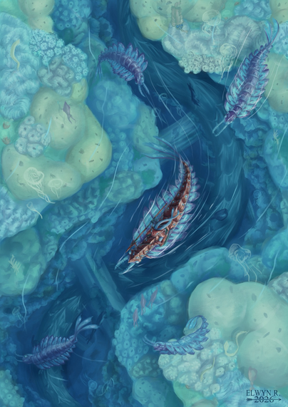 Illustration représentant une étrange sirène vêtue d'une armure rouge chevauchant un anomalocaris en armure assortie, a la surface de l'eau. D'autres anomalocaris nagent autour d'eux. Ils se trouvent au sommet d'une profonde faille dans la barrière de corail, où on peut voir des ruines et un étrange arthropode gigantesque . 