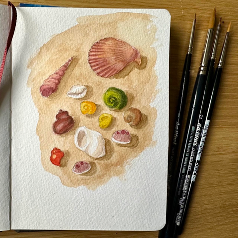 shell painting