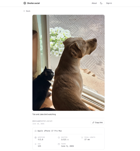 screenshot of shutter.social