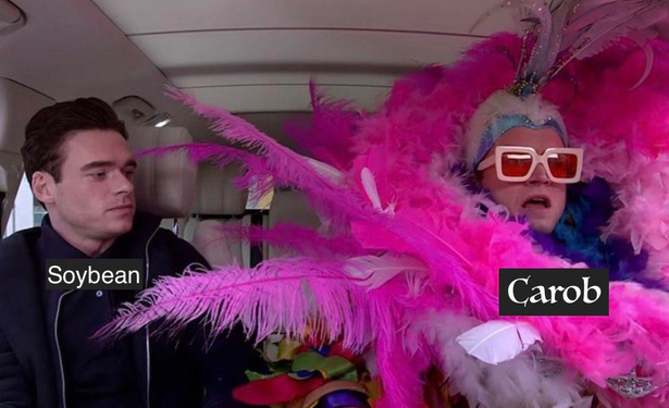 Rocketman meme. Inside luxury car. Actor Richard Madden is on the left dressed in a very plain casual black shirt and black jacket. Taron Egerton, playing Elton John, is on the right wearing hot pick ostrich feathers and a Vegas showgirl style headdress with rose-tinted glasses in square chunky light pink frames. Madden is labeled "Soybean" in plain sans serif font, the flamboyant Elton John character is labeled "Carob" in a more decorative serif font.